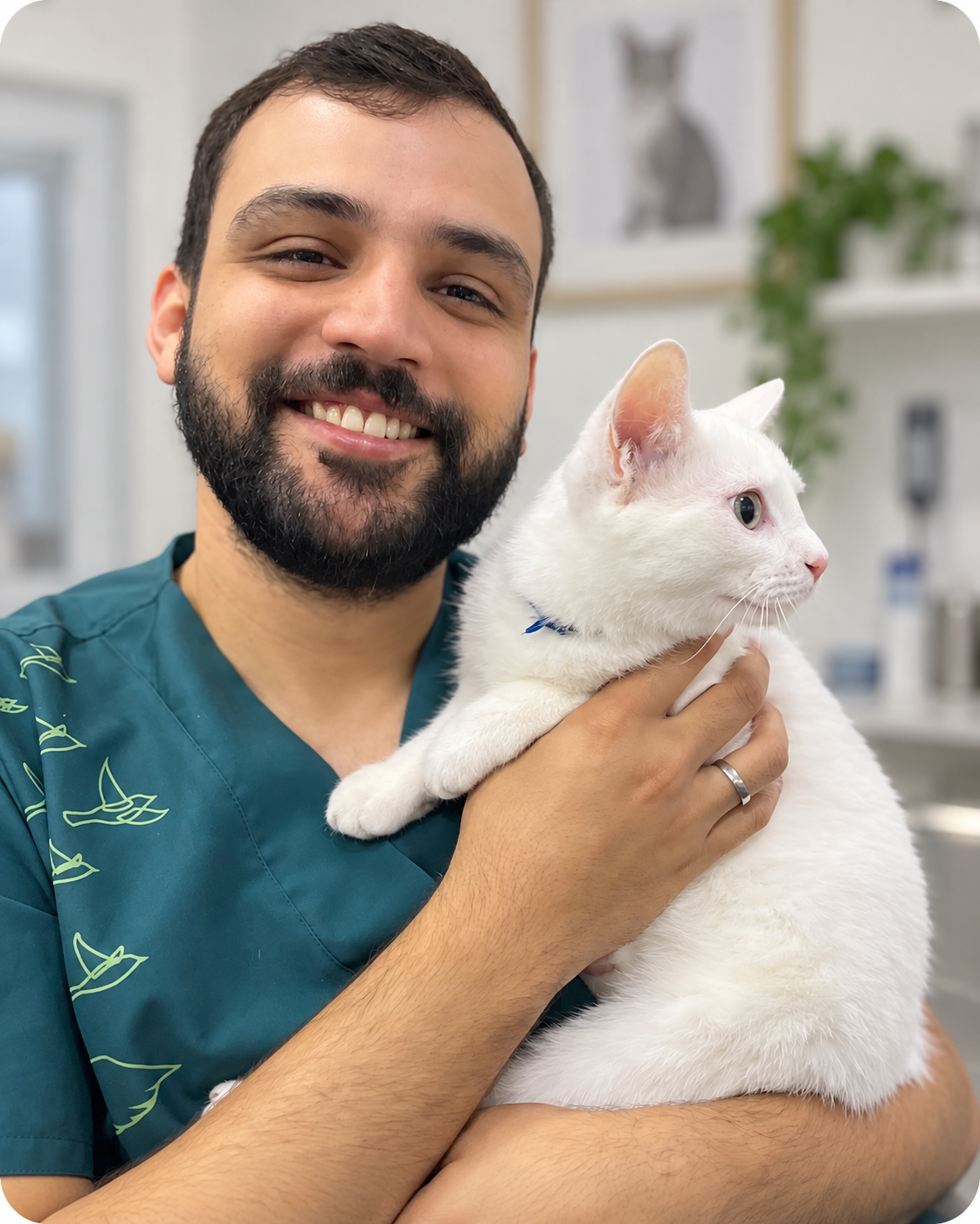 André Felipe